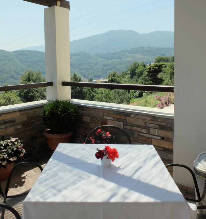 Guesthouse Kapaniaris Zagora Extérieur photo